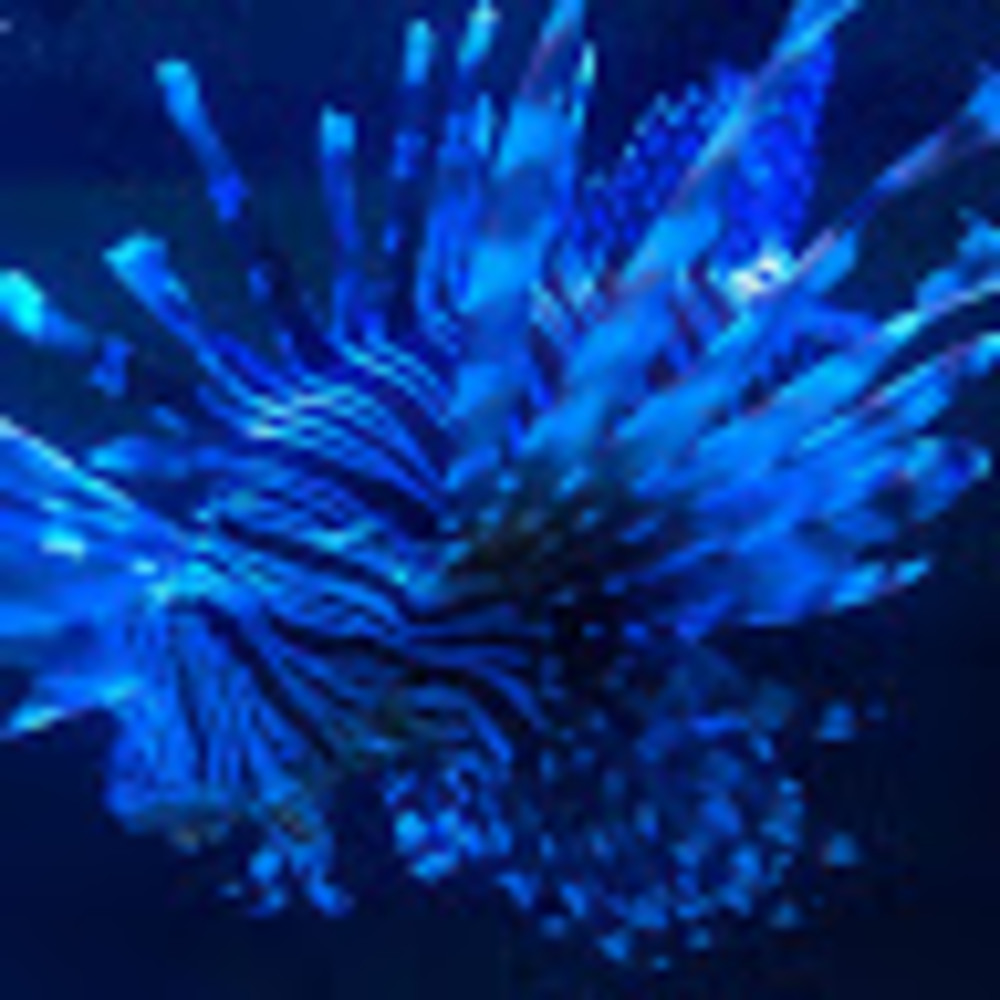 Meet your Posher, Roxi